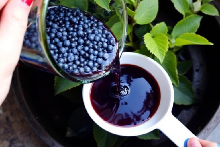 Dosage de la bouillie bordelaise pour 1 litre d'eau par plante
